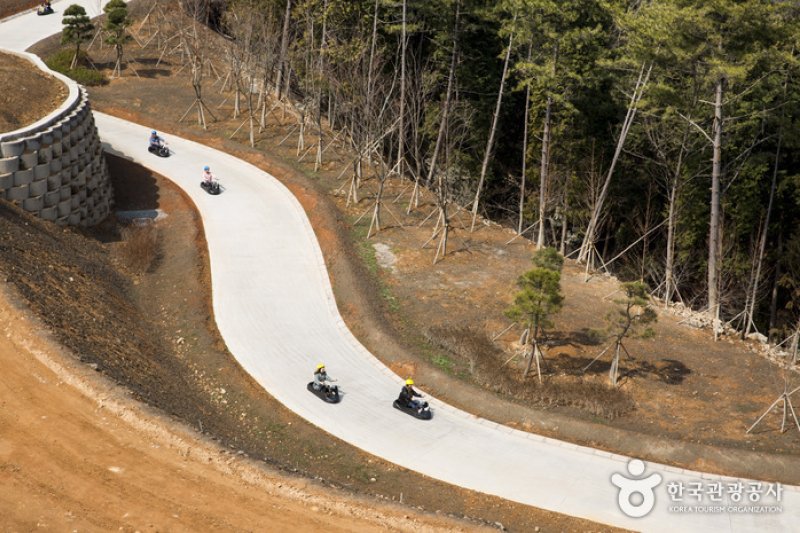 Skyline Luge(스카이라인 루지) (6/12)