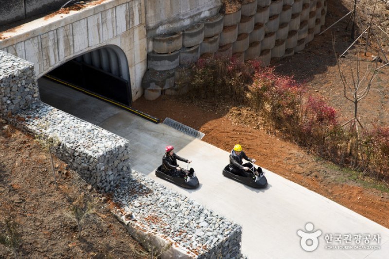 Skyline Luge(스카이라인 루지) (8/12)