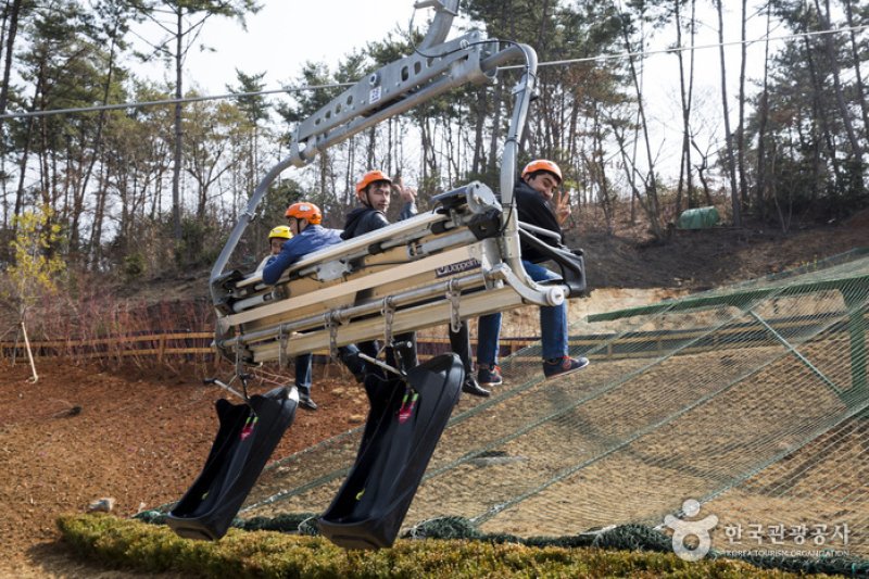 Skyline Luge(스카이라인 루지) (10/12)