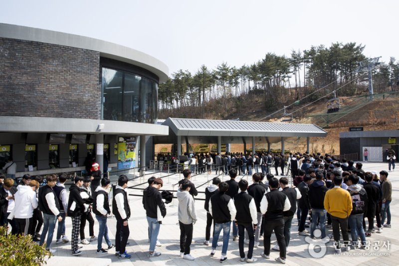 Skyline Luge(스카이라인 루지) (12/12)