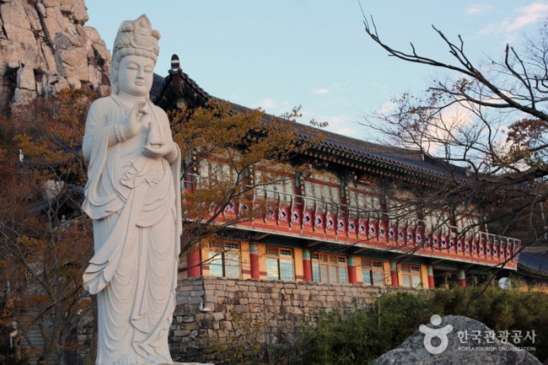 錦山菩提庵 (28/32)