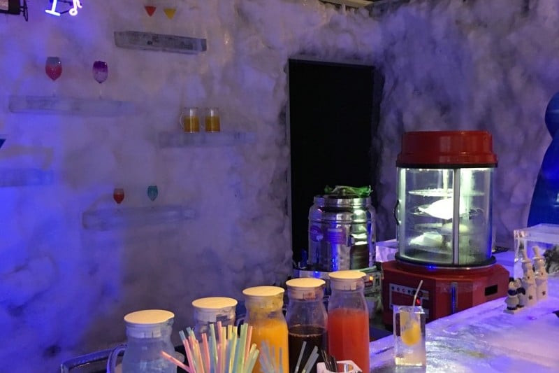 Freezing Island冰雪樂園 (12/12)