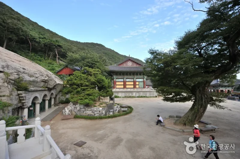 普門寺 (7/17)
