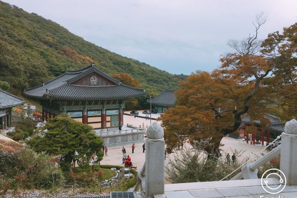 10月 : 被染紅的仁川 沈醉在回憶的秋天