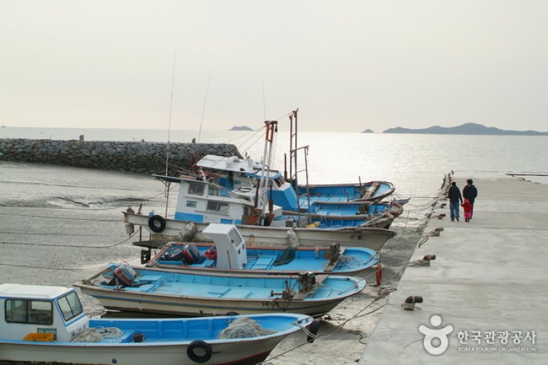 席毛島 (2/25)