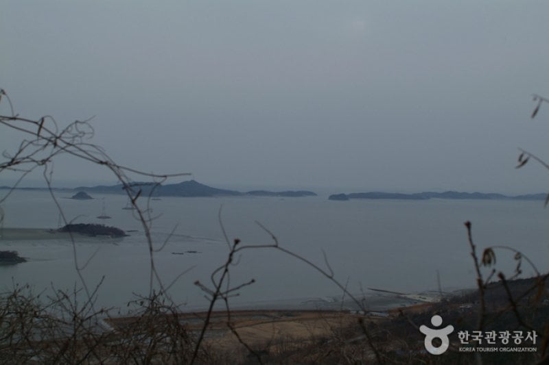 席毛島 (7/25)