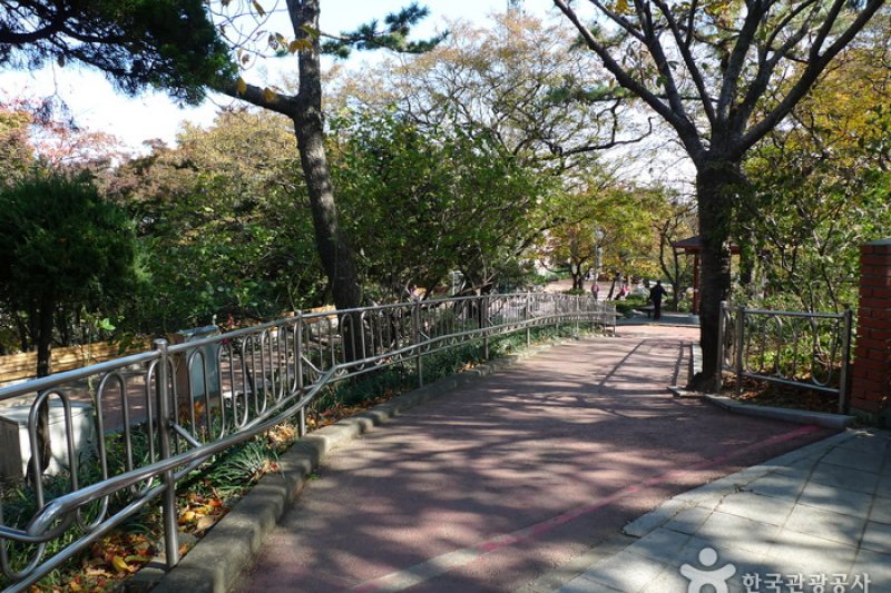 自由公園 (11/31)