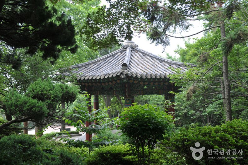 自由公園 (21/31)