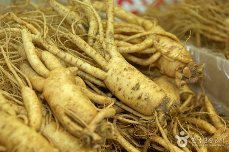 江華人蔘中心 (2/5)
