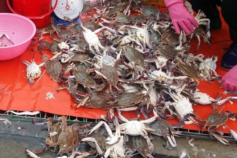 蘇來浦口綜合魚市場