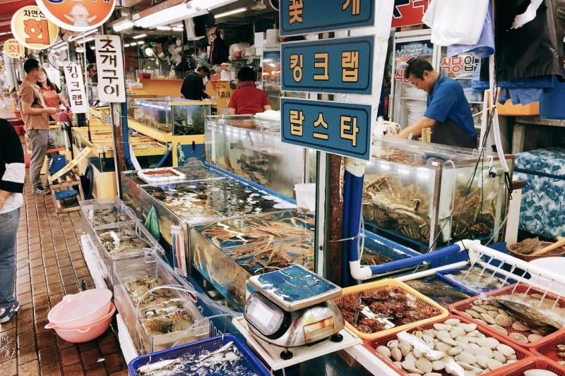 蘇來浦口綜合魚市場