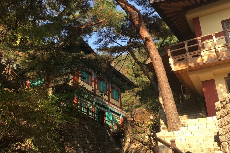 金仙寺山寺體驗 (1/5)
