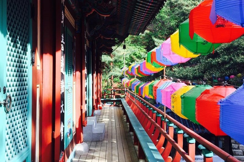 金仙寺山寺體驗 (4/5)