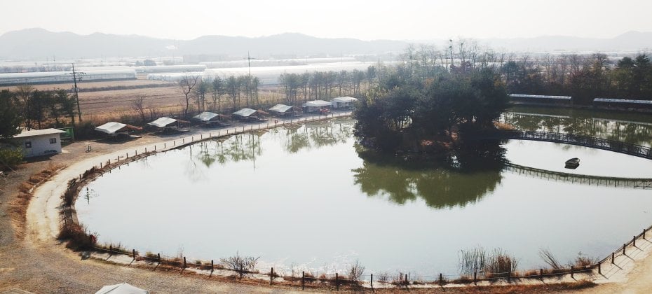 龍仁 鬆園 Glamping Park Camping Tour  &amp; Everland (4/51)