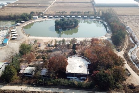 龍仁 鬆園 Glamping Park Camping Tour  & Everland