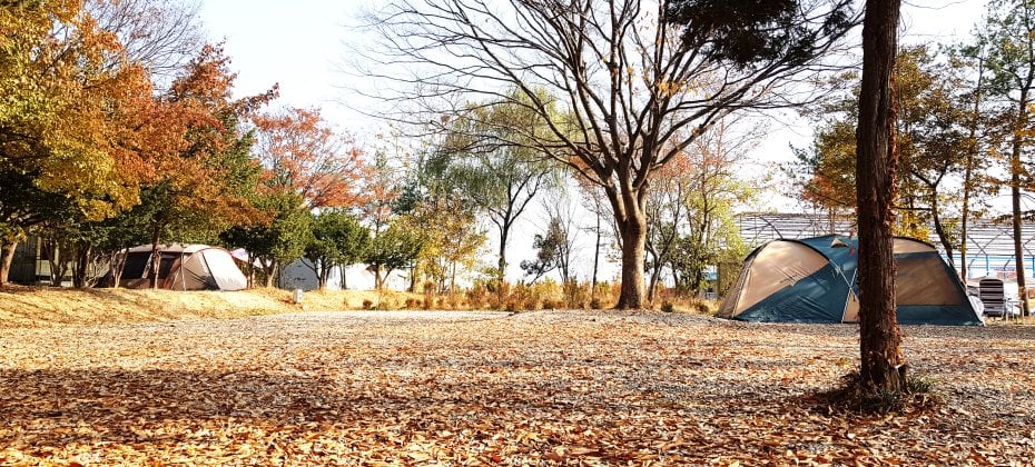 龍仁 鬆園 Glamping Park Camping Tour  &amp; Everland (22/51)