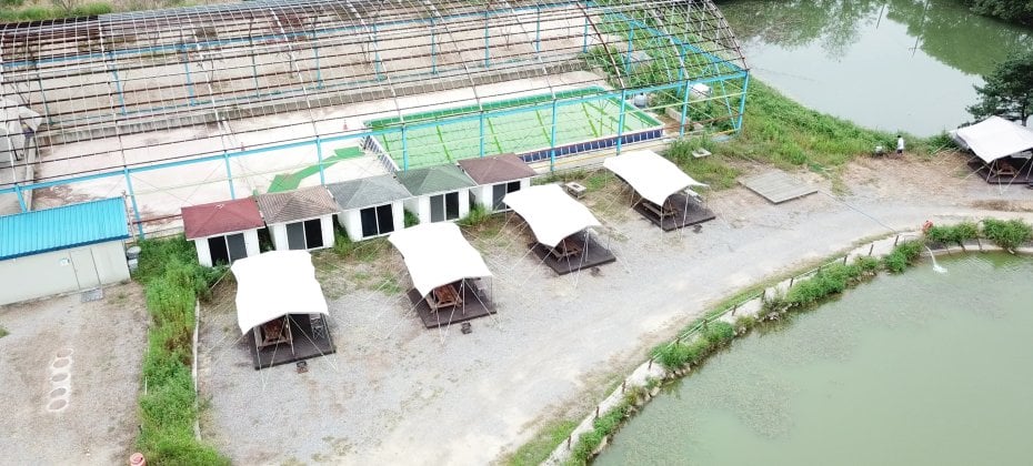 龍仁 鬆園 Glamping Park Camping Tour  &amp; Everland (26/51)