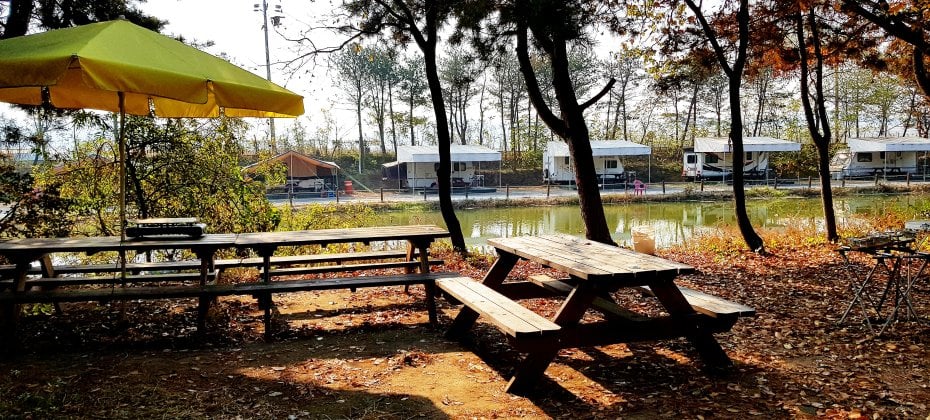 龍仁 鬆園 Glamping Park Camping Tour  &amp; Everland (31/51)