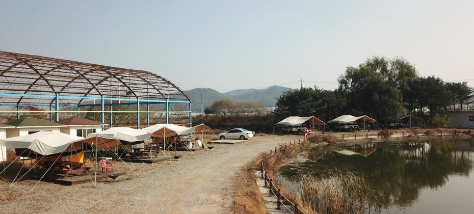 龍仁 鬆園 Glamping Park Camping Tour  &amp; Everland (34/51)
