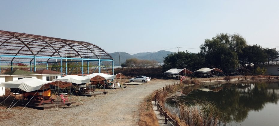 龍仁 鬆園 Glamping Park Camping Tour  &amp; Everland (35/51)