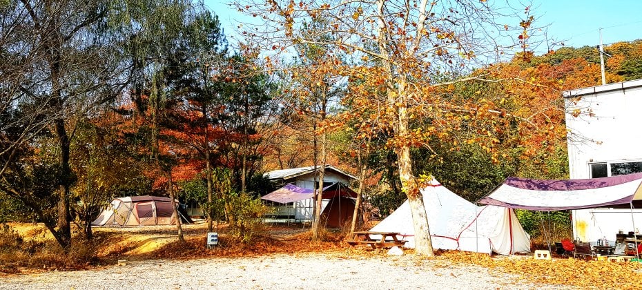 龍仁 鬆園 Glamping Park Camping Tour  &amp; Everland (37/51)