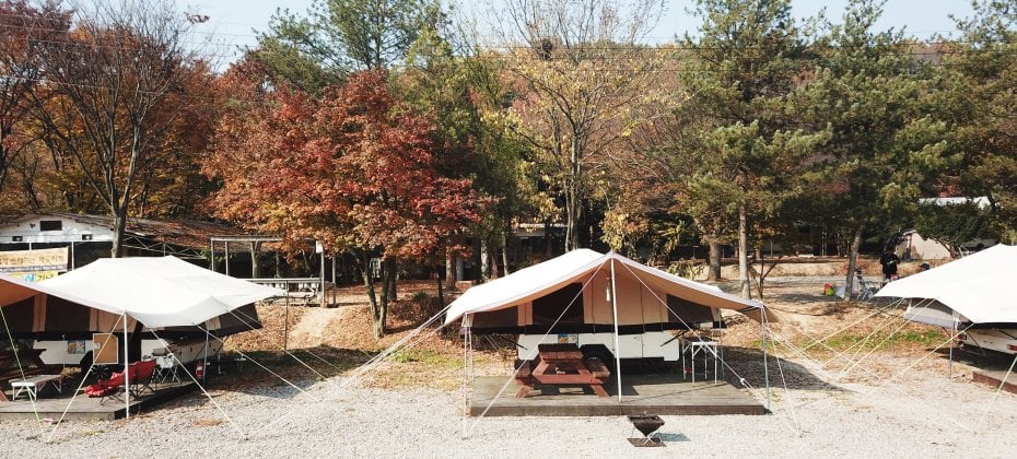 龍仁 鬆園 Glamping Park Camping Tour  &amp; Everland (40/51)