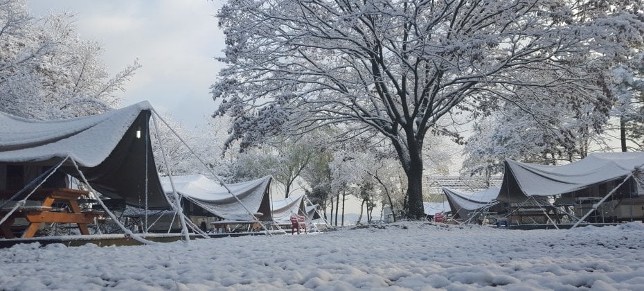 龍仁 鬆園 Glamping Park Camping Tour  &amp; Everland (50/51)