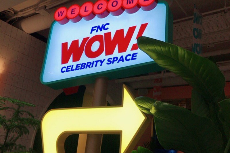 FNC WOW (11/11)