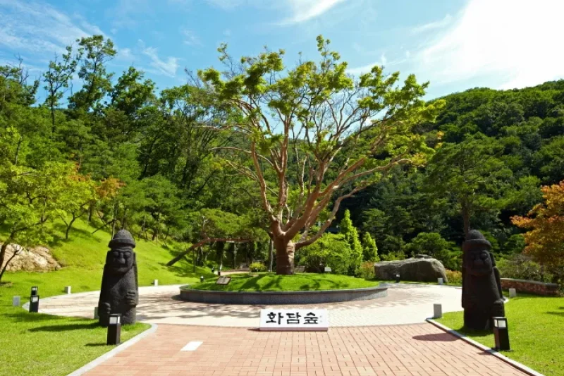 和談林(화담숲) (1/9)