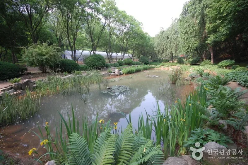 首爾大冠嶽樹木園 (4/6)