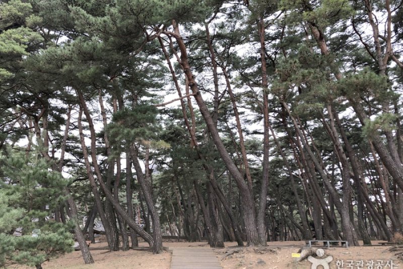 寧越淸泠浦