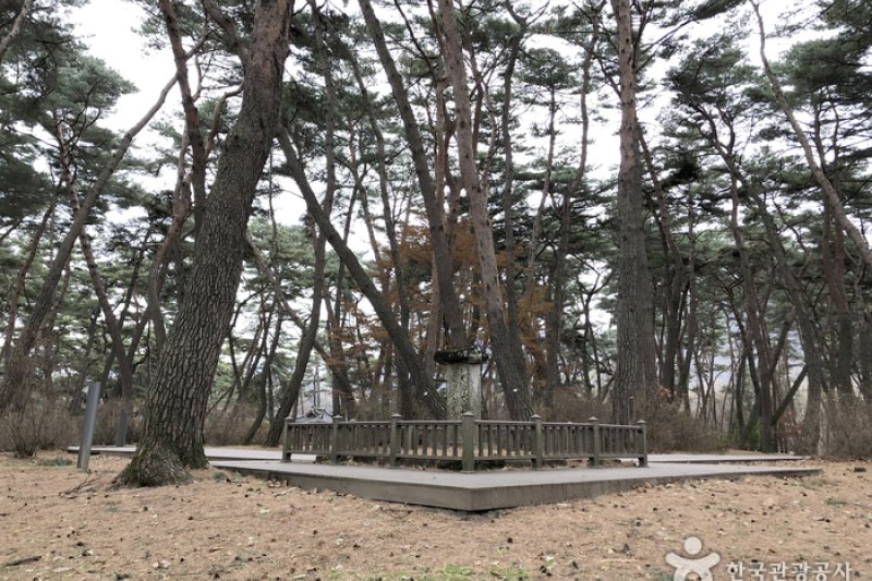 寧越淸泠浦
