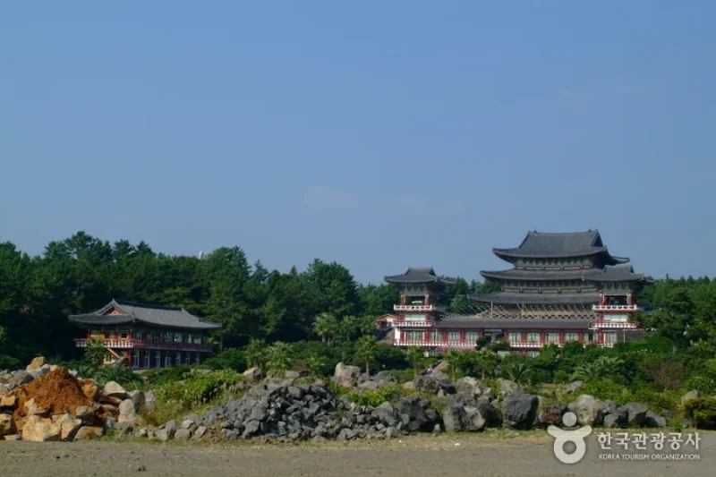 藥泉寺山寺體驗 (1/1)
