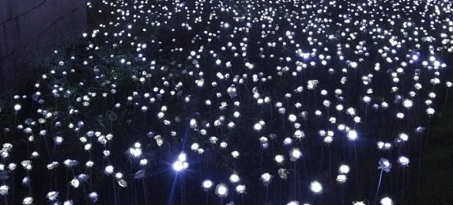 東大門設計廣場(DDP）동대문디자인플라자(DDP) LED玫瑰花園 (1/7)