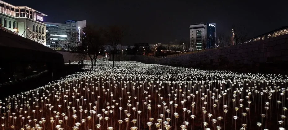 東大門設計廣場(DDP）동대문디자인플라자(DDP) LED玫瑰花園 (4/7)
