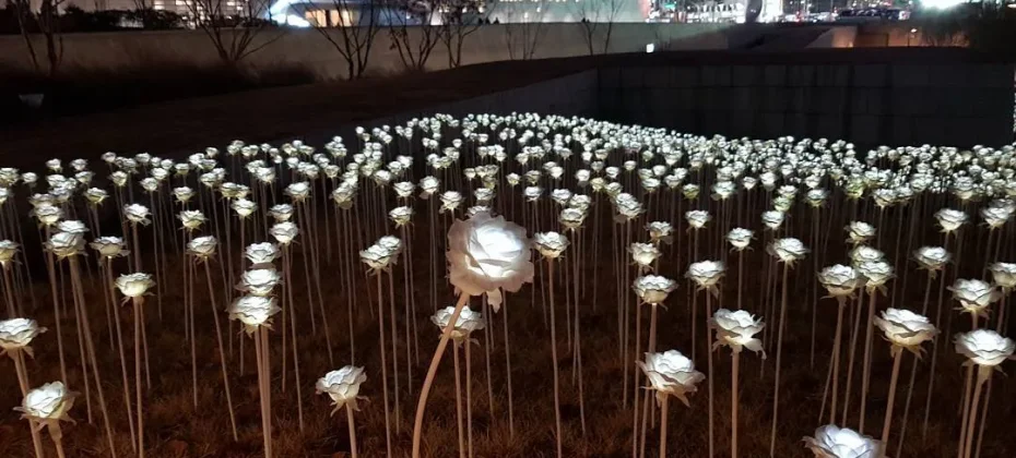 東大門設計廣場(DDP）동대문디자인플라자(DDP) LED玫瑰花園 (5/7)