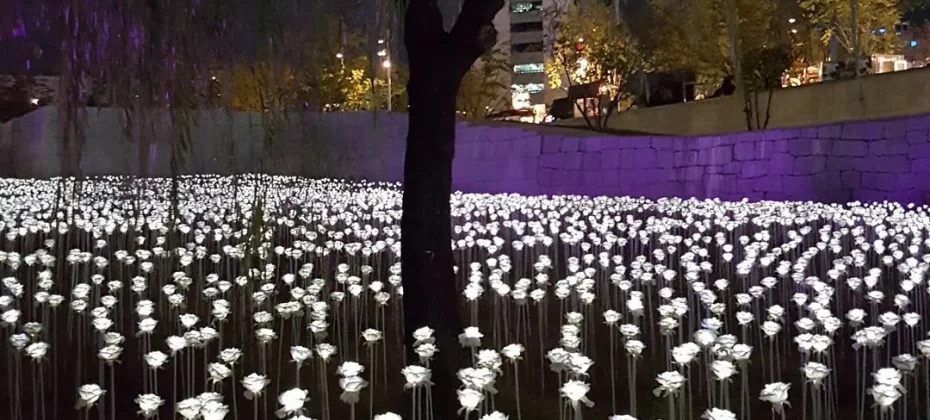 東大門設計廣場(DDP）동대문디자인플라자(DDP) LED玫瑰花園 (6/7)