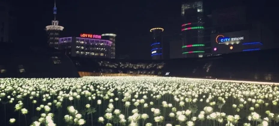 東大門設計廣場(DDP）동대문디자인플라자(DDP) LED玫瑰花園 (7/7)