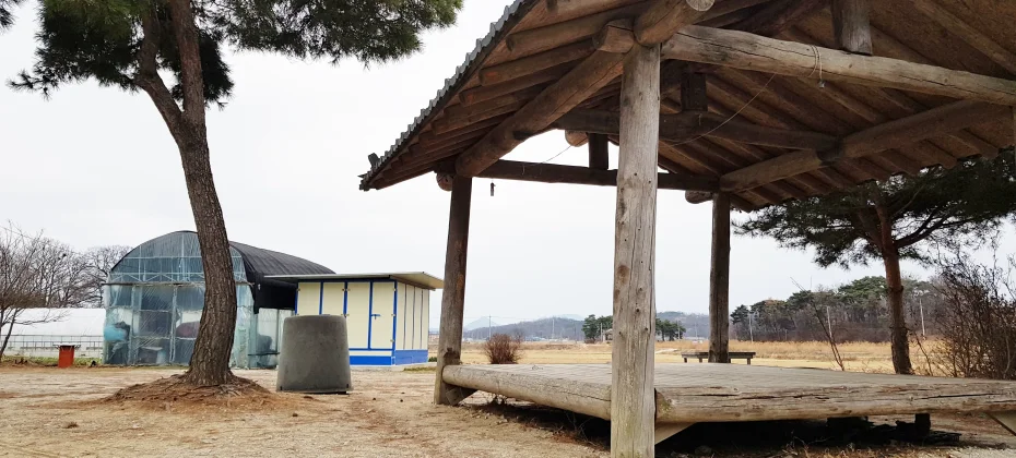 江華島文化/歷史療愈一日遊：主要觀光地+和平瞭望台+蕪菁泡菜體驗 (51/51)