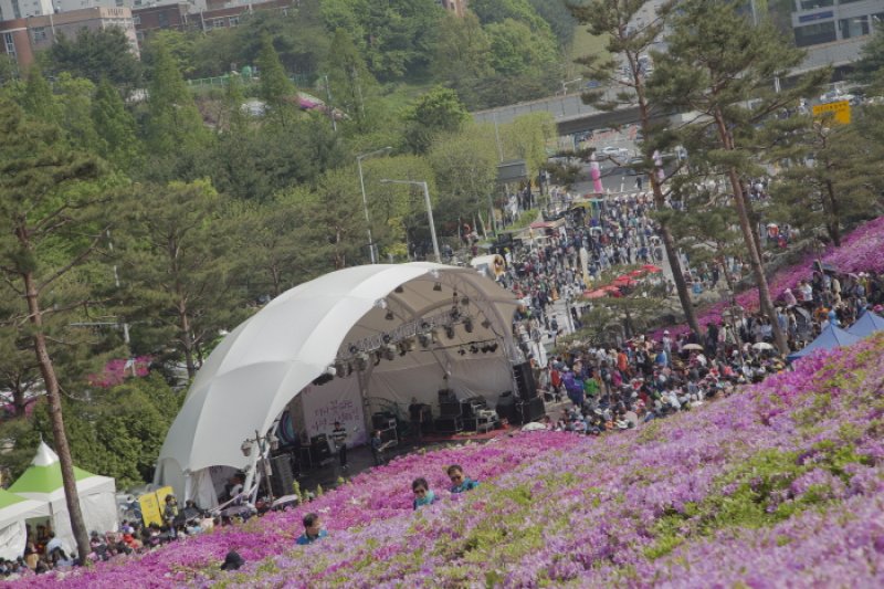 軍浦躑躅節 (15/19)