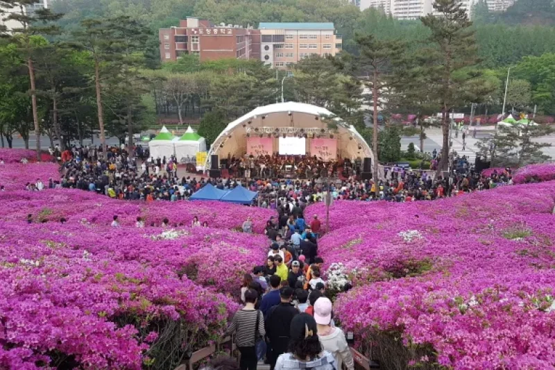 軍浦躑躅節 (16/19)