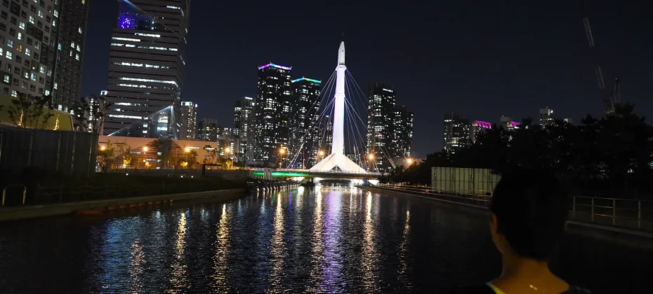 仁川浪漫夜景一日團 (8/51)