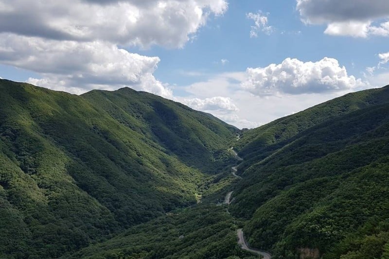迦智山道立公園 (1/3)