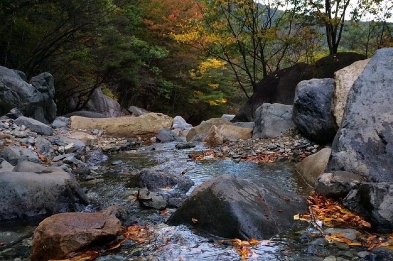 迦智山道立公園 (3/3)