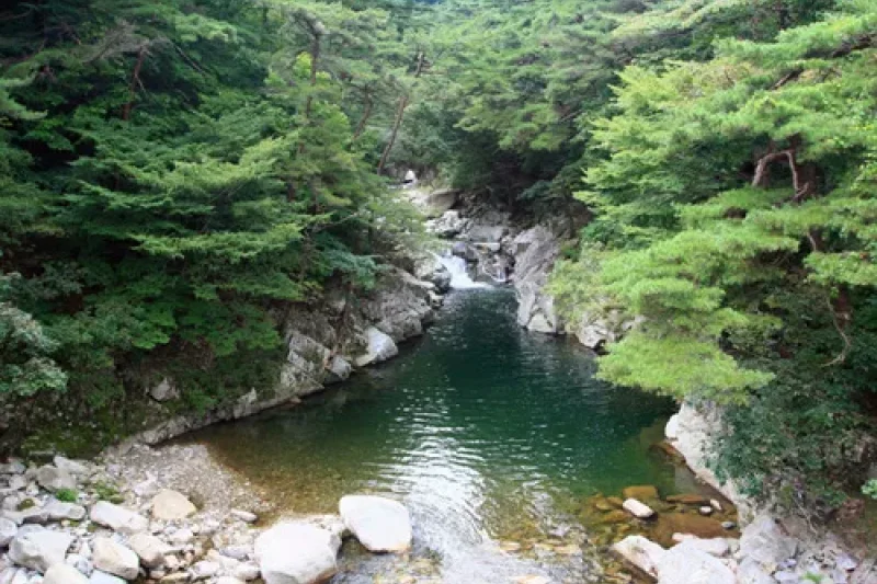 紅流洞溪谷 (4/6)