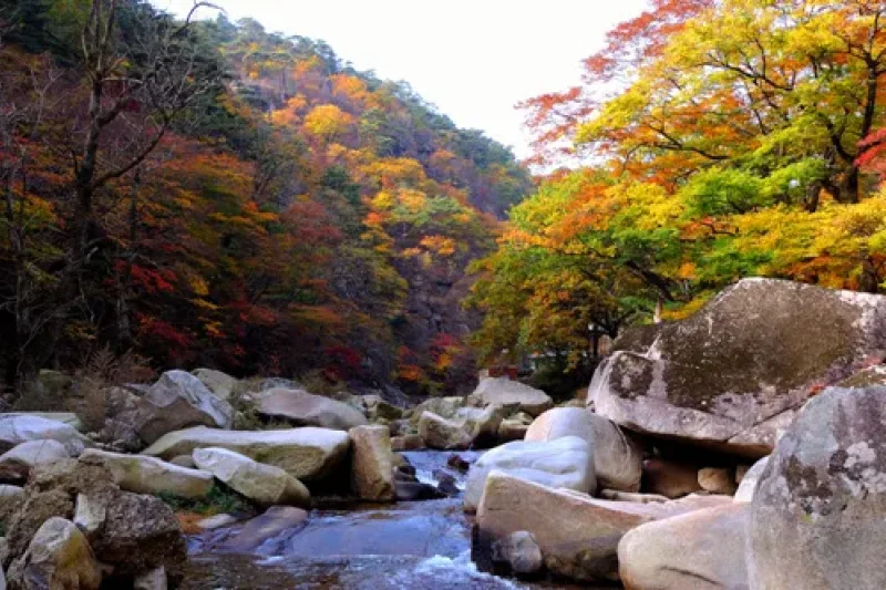 紅流洞溪谷 (5/6)