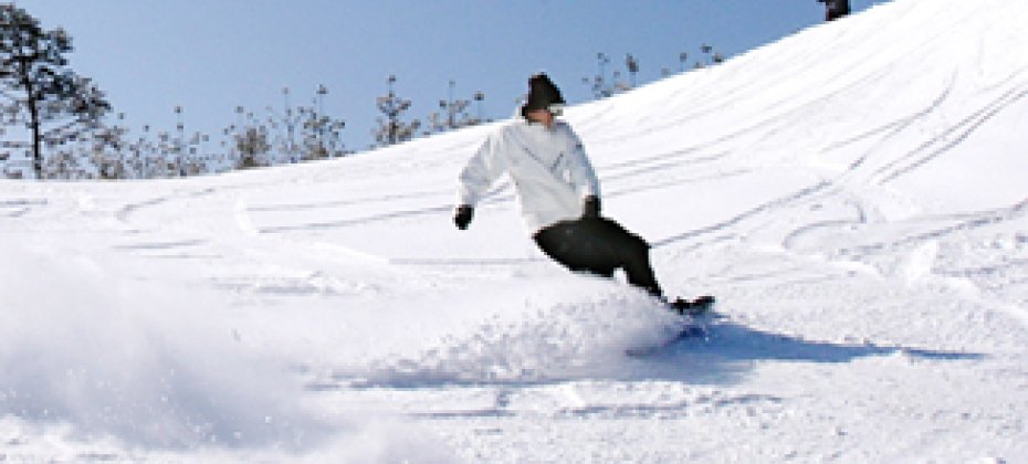 大明維瓦爾第滑雪一天團/接駁車 VIVALDI PARK ONE DAY SKI TOUR / shuttle service (10/36)