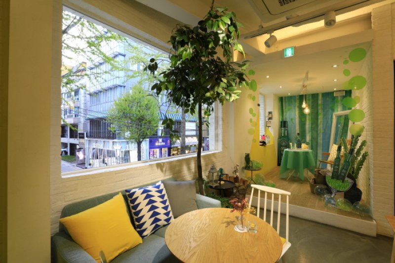 SKIN FOOD林蔭路店[韓國觀光品質認證/Korea Quality]스킨푸드 가로수길지점 [한국관광 품질인증/Korea Quality] (7/15)