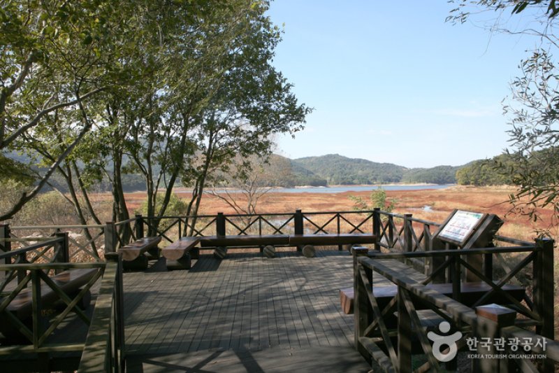 光州湖 湖水生態園광주호 호수생태원 (17/20)
