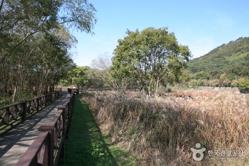 光州湖 湖水生態園광주호 호수생태원 (19/20)